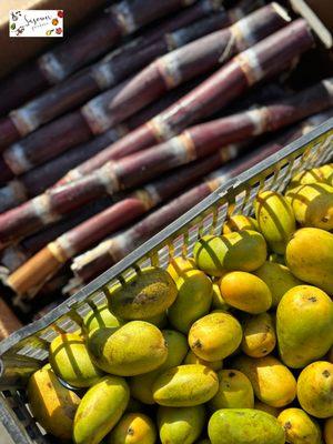 Sugar Cane  and Baby Mango