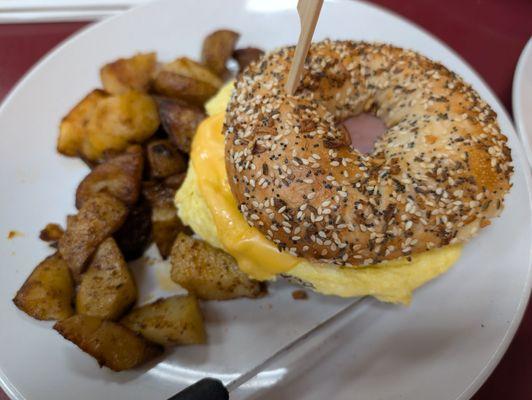 Coral Bagels