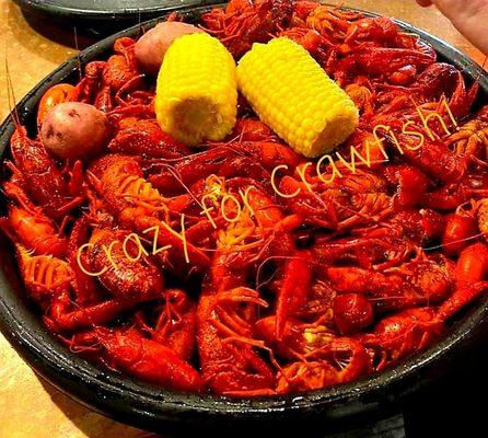 Great  tasting  crawfish