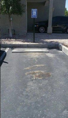 Fake handicap sign planted by towing company