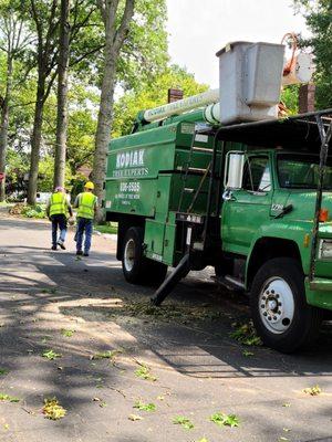 Kodiak Tree Experts