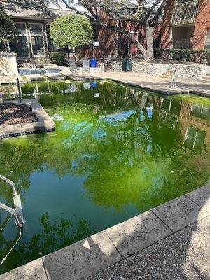 That was the pool at the beginning of the year 2023. Contaminated water and management didn't clean up for over three months.