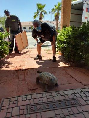 Jeff2, Bo, & our repeat client's tortoise!