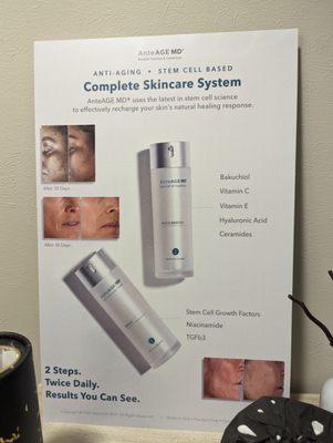 Complete skincare system diagram for AnteAGE