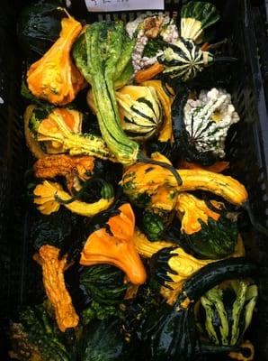 All types of gourds. $.50 each or 3 for $1.00.