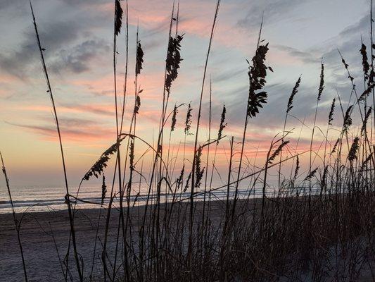 St. Augustine is not only a cute historic town,but they also have beautiful beaches!