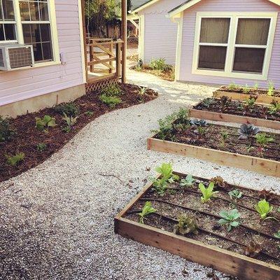 This Hyde Park garden features lots of hang out areas and both native and edible gardens.