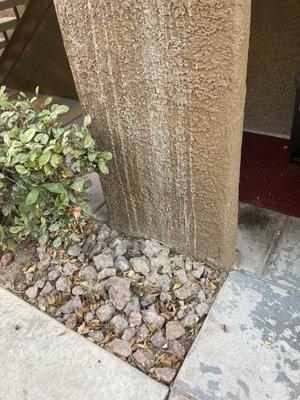 Stained wall, and cat litter/poop in the rocks in front on my home thrown down by upstairs neighbors