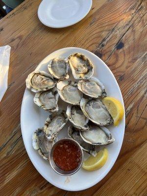 Atlantic oysters