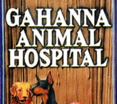 Gahanna Animal Hospital Logo