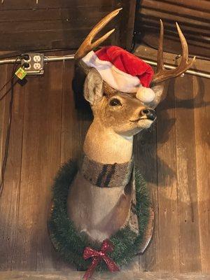 The deer was even decked out for the holidays. Amazing