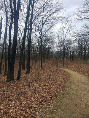 Cool hiking trails