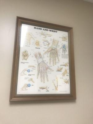 The Center for Bone & Joint Surgery