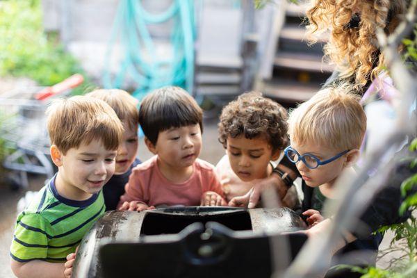 Learning in the garden