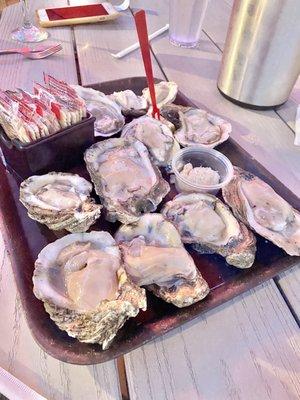 Oysters