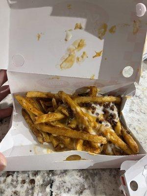 Large loaded fries