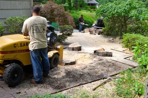 stump grinding