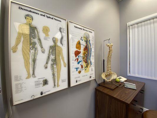 Sunny Hills Chiropractic Center