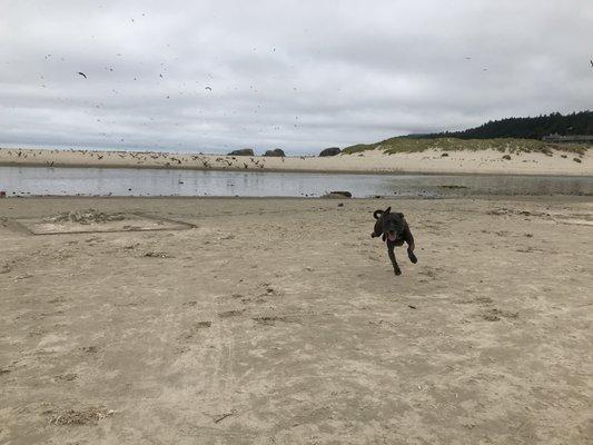 Cupcake Jake at the beach.