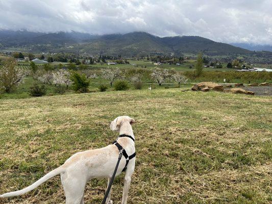 Taking in the gorgeous view!