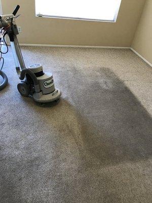 carpet cleaning in scottsdale and paradise valley