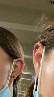 Cartilage piercings