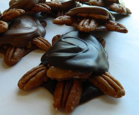 The Best Chocolate Turtles!