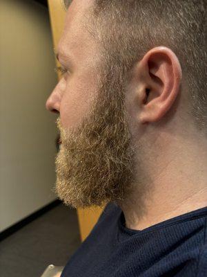 Hair style and beard trim