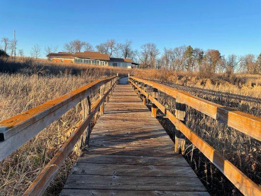 Bridge over a marshy area