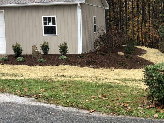 Plant / topsoil installation