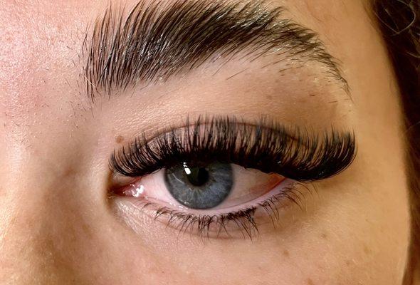 Volume lashes