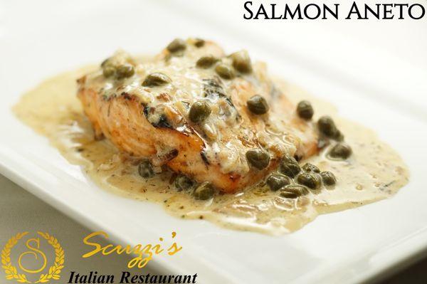 Scuzzi's Salmon Aneto