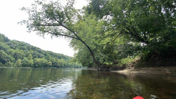 The WV bank of the Potomac river from the kayak