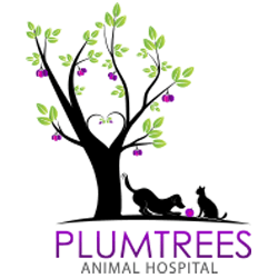 Plumtrees Animal Hospital