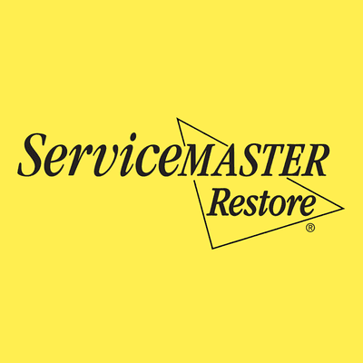 ServiceMaster DSI - Maple Grove, MN logo