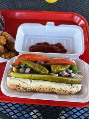 Chicago style dog and tater tots done right