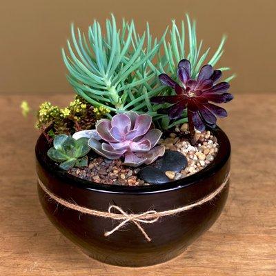 Hand made decorative succulent gardens