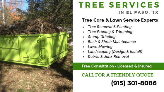 Our el paso tree services