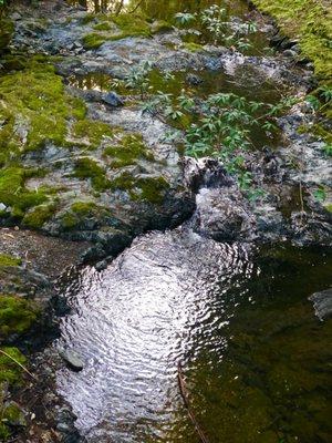 The soothing sound of water.