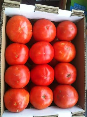 Long Island Tomatoes