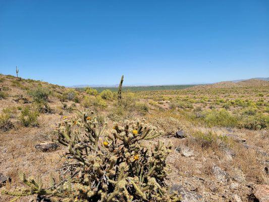 Estrella Mountain Regional Park