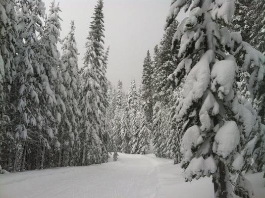 Virginia Meisner is my favorite place to snowshoe