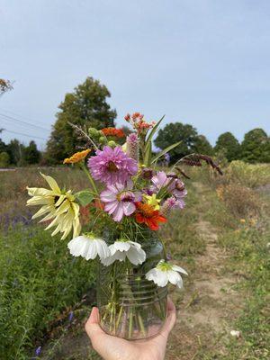 Pick your own flowers