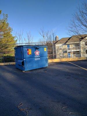 Clean and uncluttered area around the dumpster. Big improvement from earlier this month.