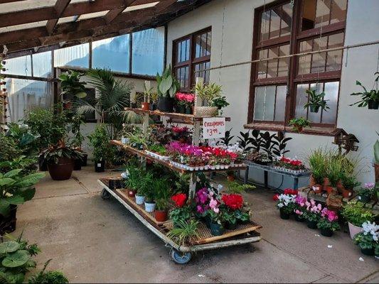 Bokay Nursery