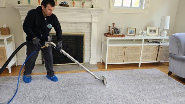 Area rug Cleaning