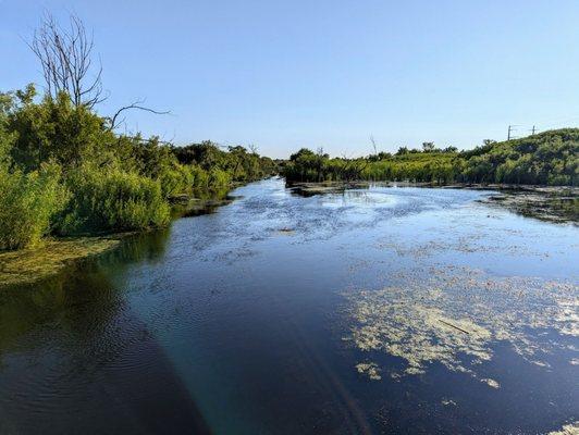 Water levels are high