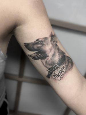 Black-and-grey German Shepherd dog portrait by Lhena