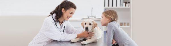 Easyvet Veterinarian - Greater Chattanooga