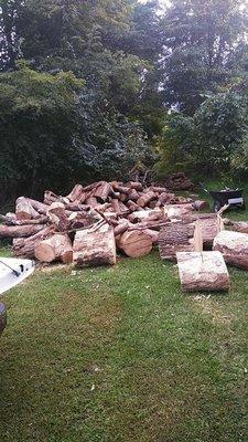 All the wood from previous picture in lengths getting ready to be loaded